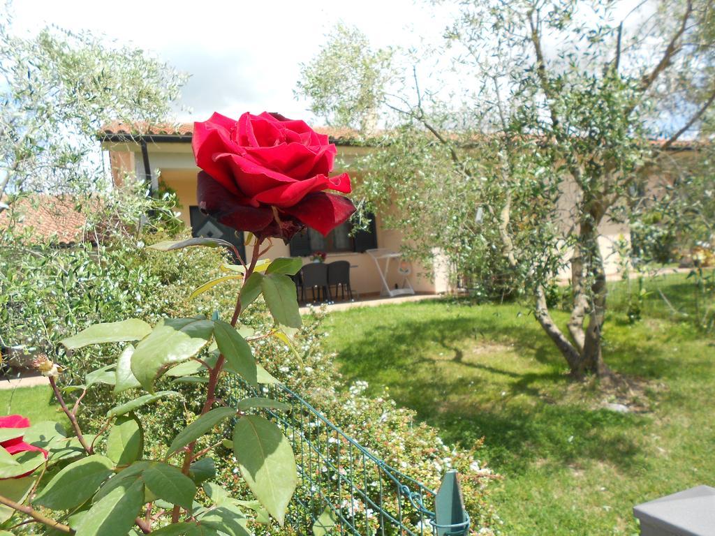 Poggio Degli Olivi Guest House Saturnia Exterior photo