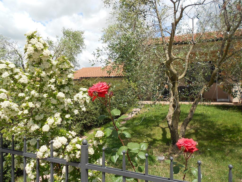 Poggio Degli Olivi Guest House Saturnia Exterior photo