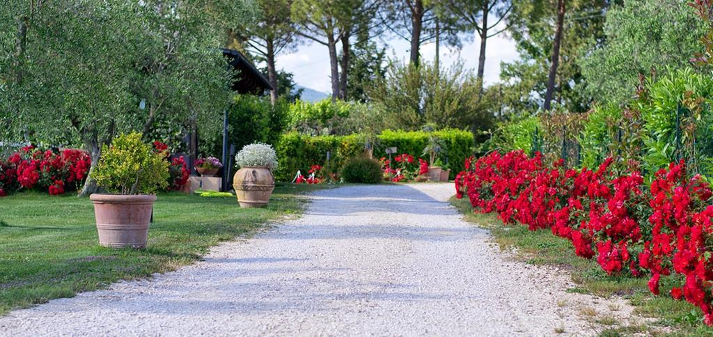 Poggio Degli Olivi Guest House Saturnia Exterior photo